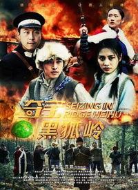 黑狐在线观看,暗网风云，揭秘网络世界的神秘较量  第3张